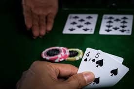 shwecasino Live Casino Platform